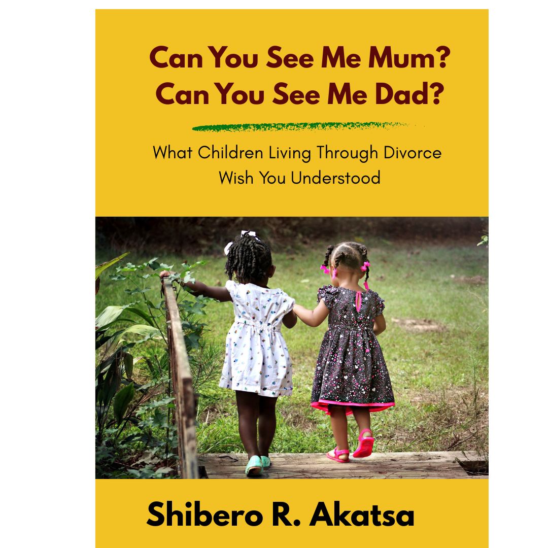 Can You See Me, Mum? Can You Hear Me, Dad?: What Children Living Through Divorce Wish You Understood